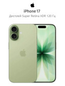 Смартфон Apple iPhone 17_iphone17_512_sage_SS