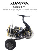 Спиннинг Daiwa Caldia SW 10000-H